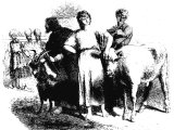 The sin offering of ignorance